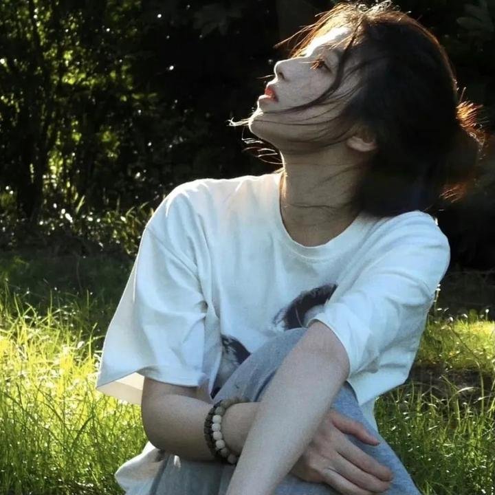 真情玫瑰