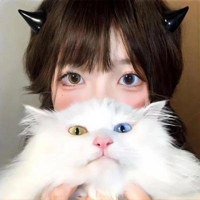 盗贼泰瑞莎